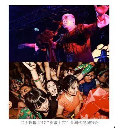 成人之美演唱视频,音乐与情感的共鸣之旅