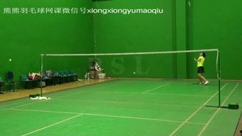 初学羽毛球成人教学视频,成人教学视频精华解析