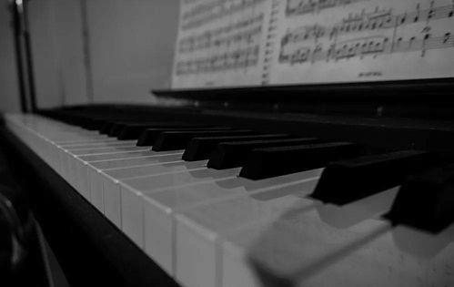 成人业余怎么学钢琴视频,视频教程深度解析