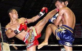 成人搏击护腿怎么做视频,轻松打造专业防护装备