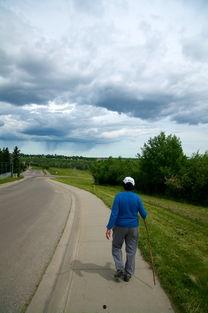 成人走路视频风景图片,成人行走间的自然画卷