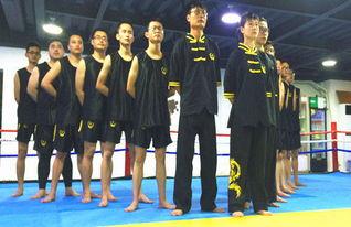 成人班武术训练视频