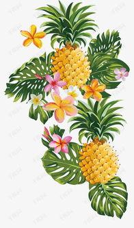 菠萝成人绘画视频